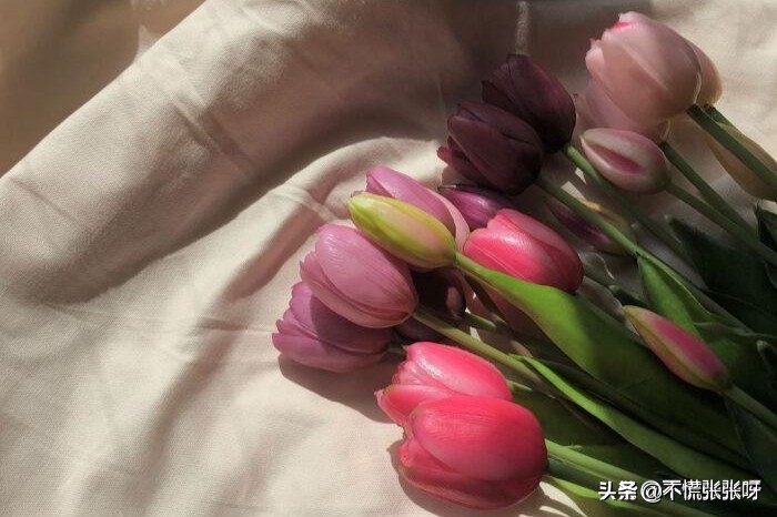 当一个男人放不下一个女人怎么办,为什么一个男人会放不下前任