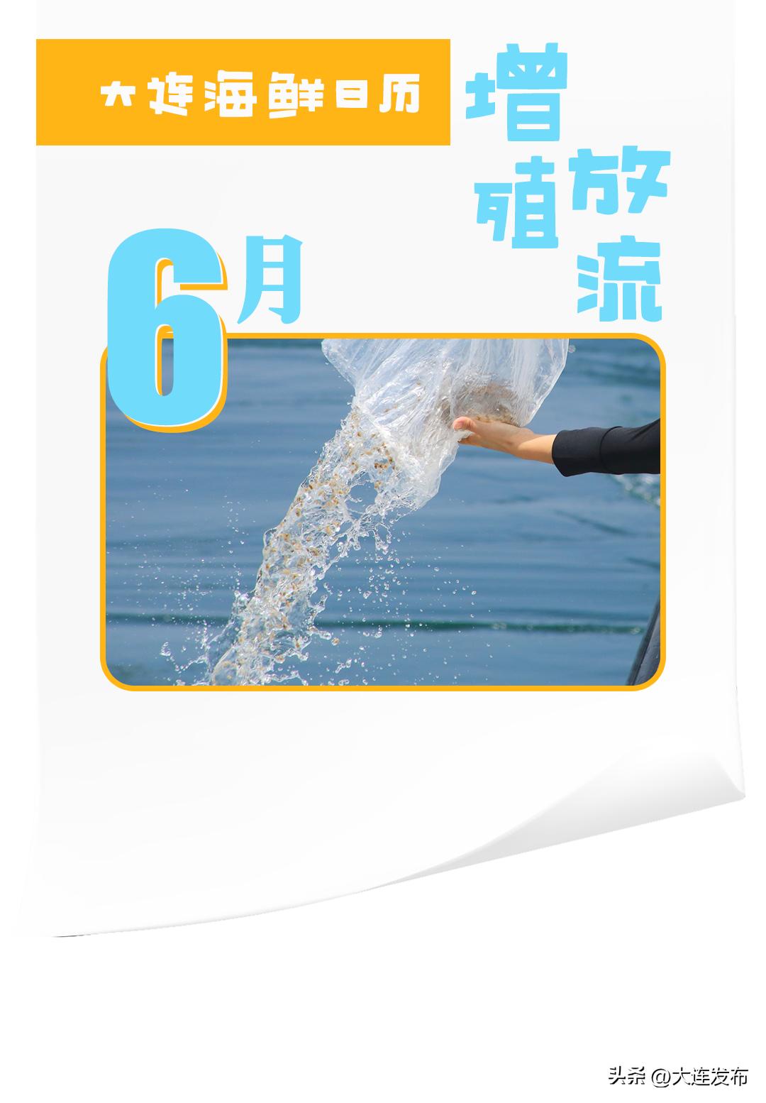 实现海鲜自由的秘诀,实现海鲜自由另一种说法