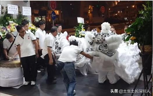 醒狮和瑞狮的区别在哪,醒狮的运动特点