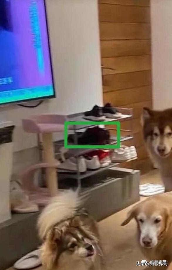 网红张大奕官宣订婚对象是谁,跟张大奕找对象的是谁