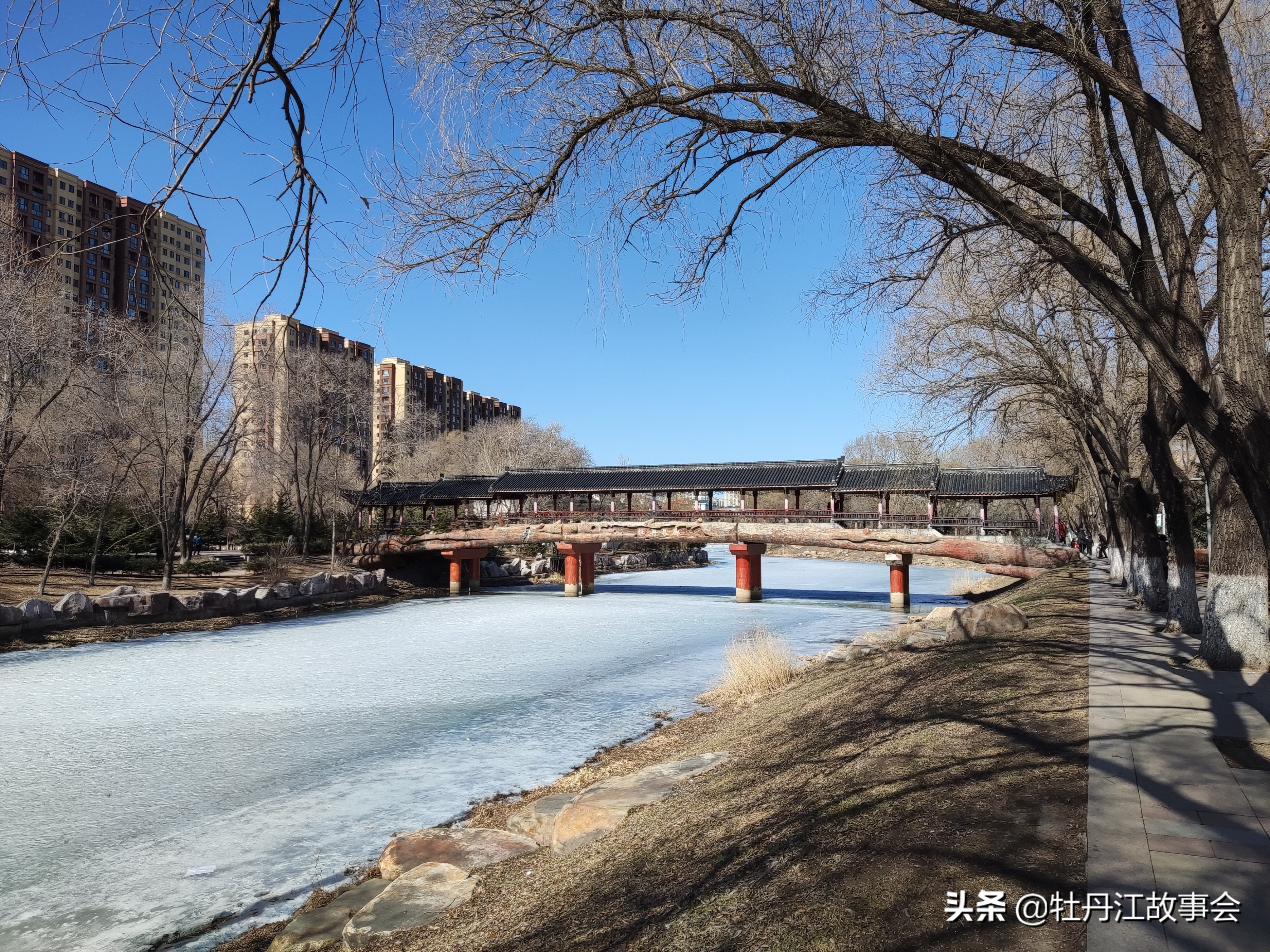 黑土地怎么样会挣钱,黑土地致富视频