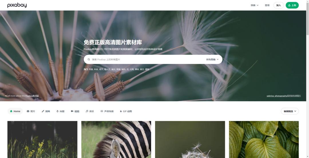 给大家整理了十几个可以白嫖资源的网站