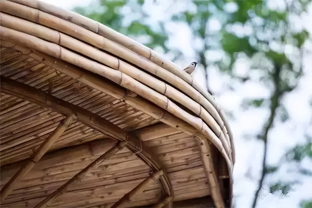 中国乡村改造项目,国内最成功的乡村改造案例