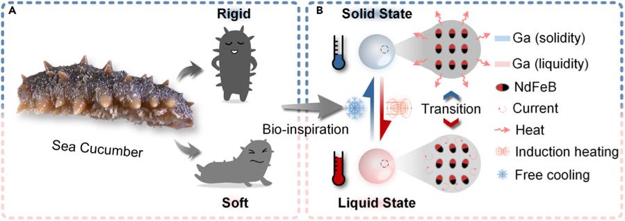 液态机器人穿越时空,液态机器人现在能造出来吗