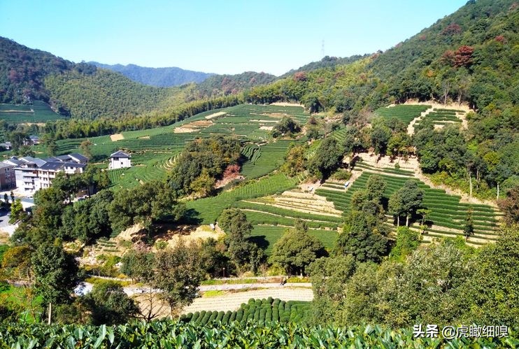 杭州十处产茶、喝茶、休闲好去处，你去过几处？