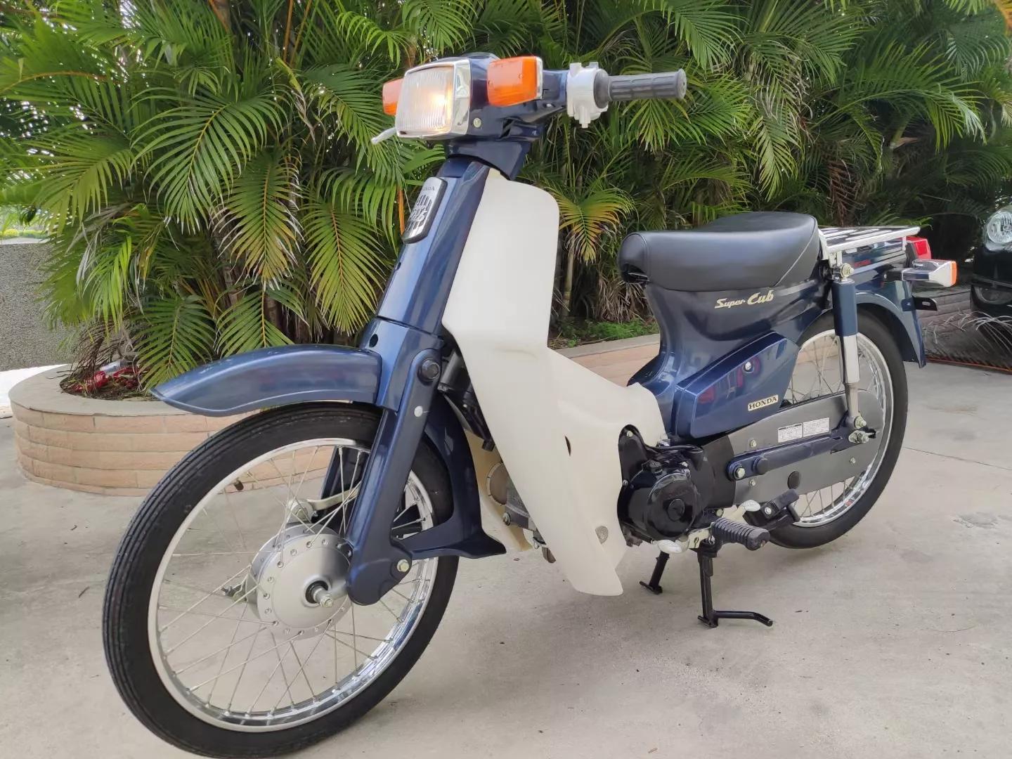 哪些动漫里面有本田幼兽,本田幼兽漫画图片