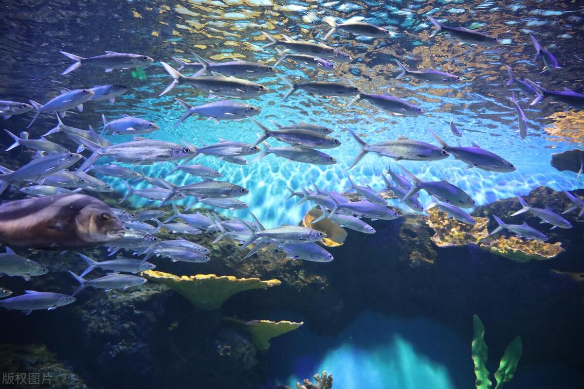 成都大邑县十大旅游景点,成都金堂十大旅游景点