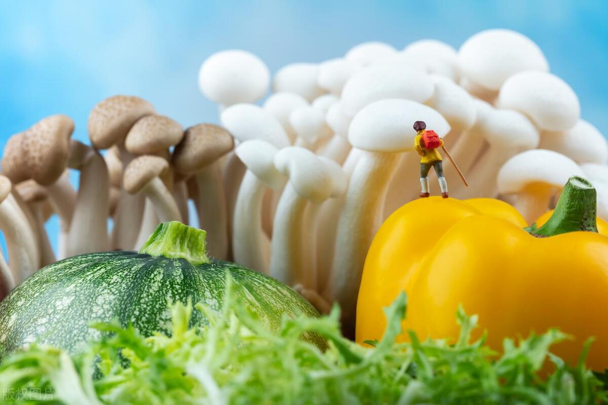 浅论民事诉讼质量鉴定中设备制造商经常“忽视”的设备维护调试权