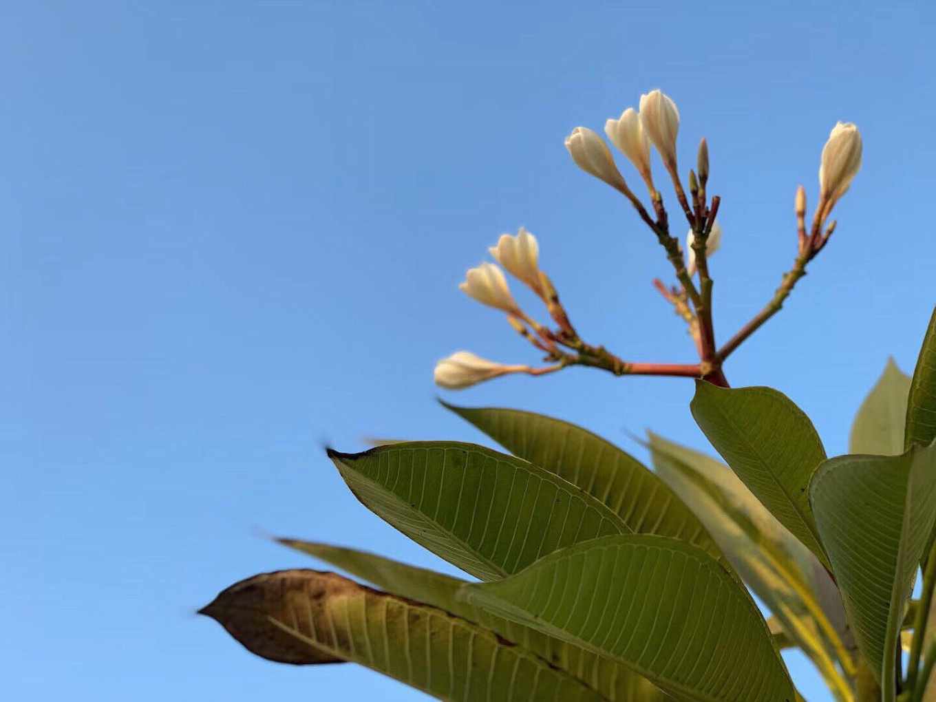 带你玩转北海涠洲岛最全攻略,带你去看海涠洲岛3天2晚行程推荐
