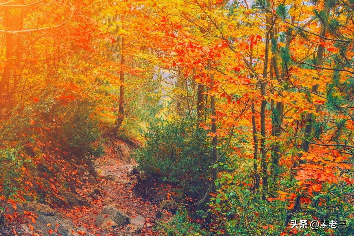 女作家去做保姆463,女作家去做保姆584