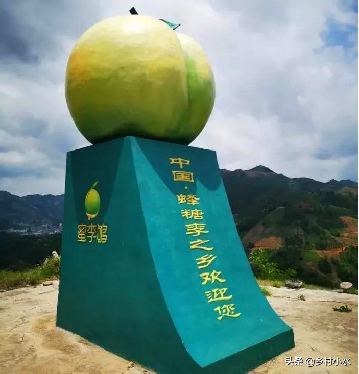 蜂糖李种植在哪些地方品质比较好,种植蜂糖李利润