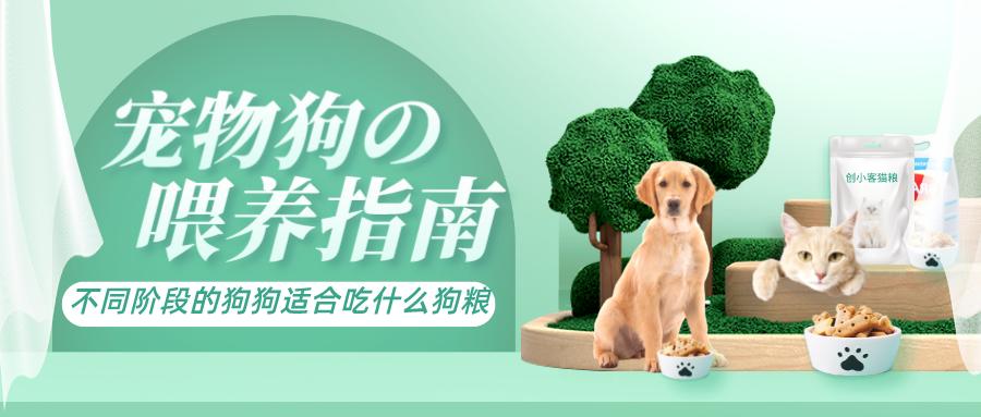 幼犬狗狗应该吃什么狗粮,狗狗一般吃什么狗粮经济又实惠