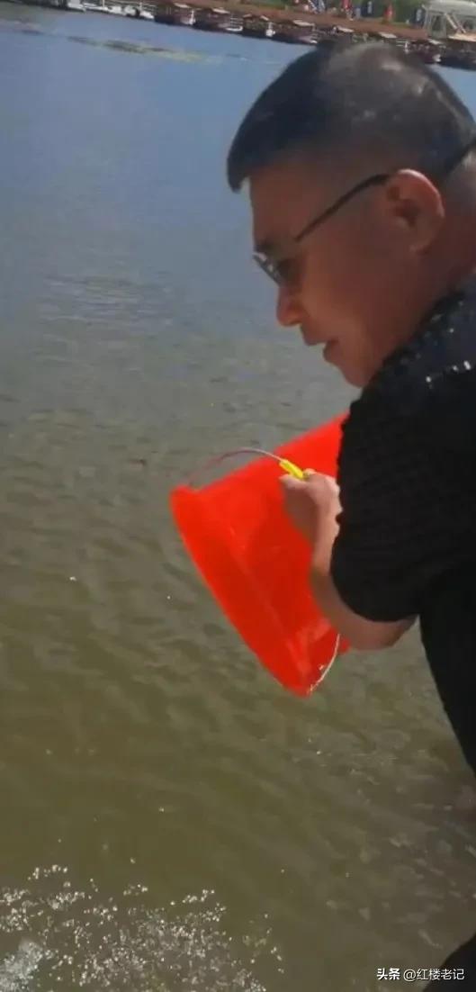 鲟科鱼类联合增殖放流,鲟鳇鱼苗放流