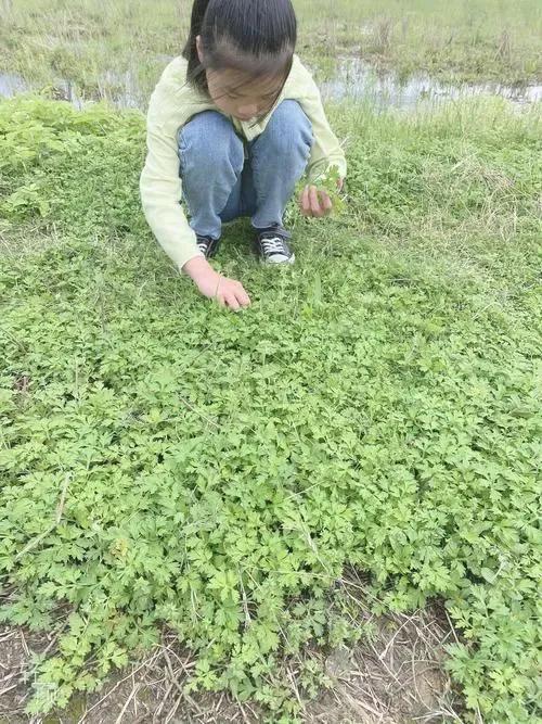 三观一致世界观,聊三观聊世界观