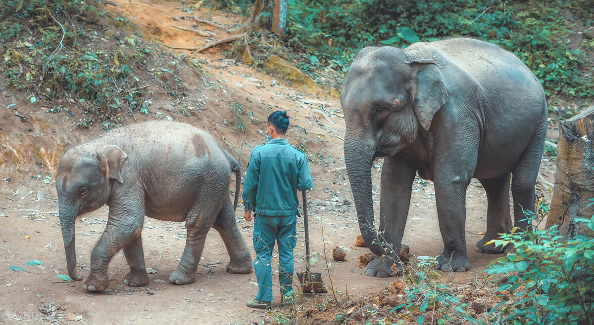 西双版纳名胜古迹有哪些,西双版纳有哪些名胜古迹