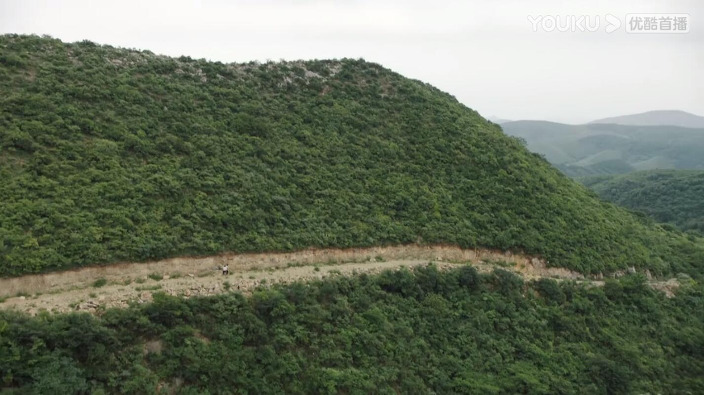 山河锦绣演员演技好,山河锦绣演员表现