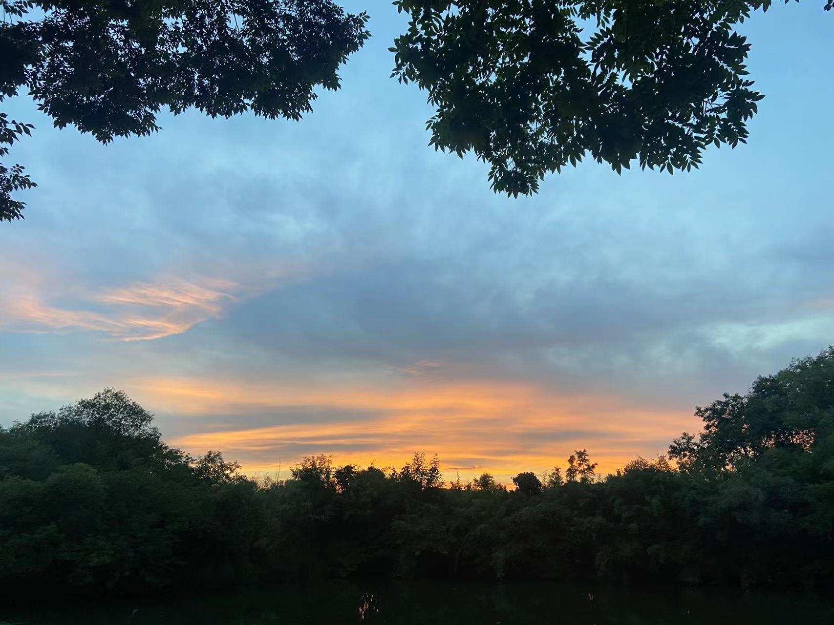 家里被虫咬又痒又痛,被虫子蛰了很痒