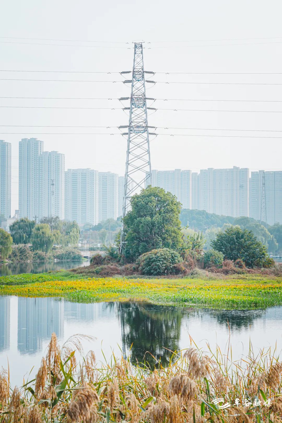 淘金山骑行绿道和东湖骑行绿道,周末绿道骑行一路都是美景