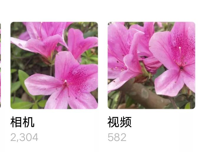 华为手机怎么识图认物,手机怎么识图