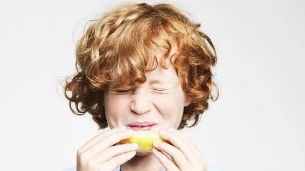 欧洲菊苣根咖啡,咖啡的替代品菊苣根