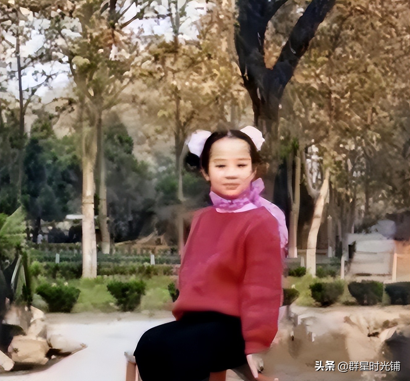 星光大道盲人歌手刘赛个人简历,星光大道歌手刘赛结婚没有