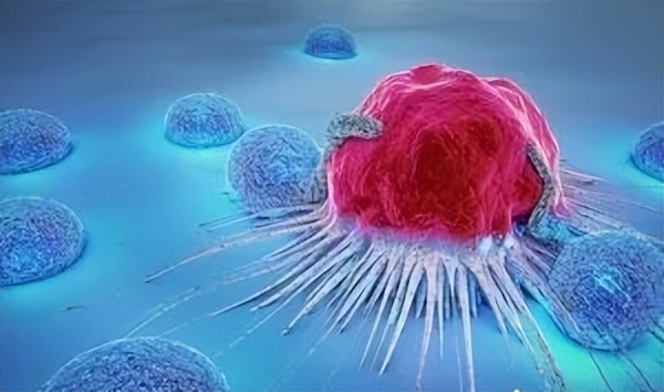 王熙凤为什么会得下红之症,红楼梦中的王熙凤得的是什么病