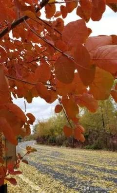 一天学一个成语一年级,一天学一个二字古词