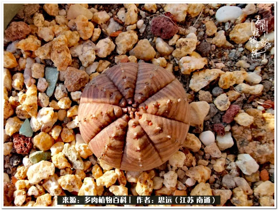 隔着时间的深爱，来自秋天的私语