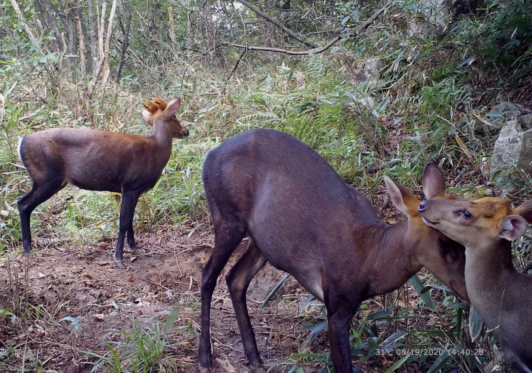 中国首次参加世界博览会,中国举办了哪些国际大会
