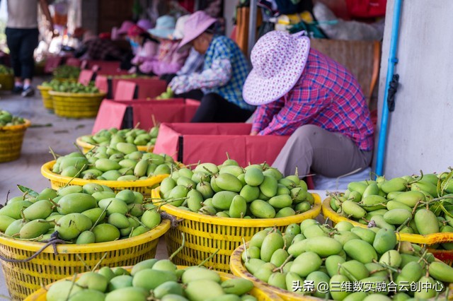 新型家庭农场的致富路,家庭农场的发展红利又将迎来高潮