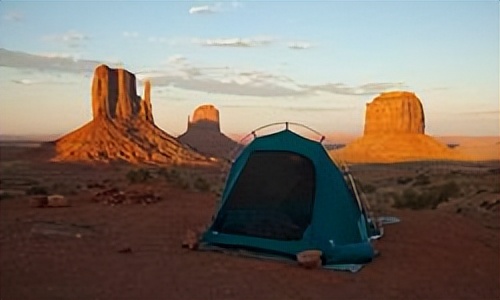 在露营时要注意哪些野生动物,在野外露营不能看见什么小动物