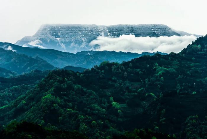 洪雅避暑哪里最好玩,洪雅避暑景点推荐