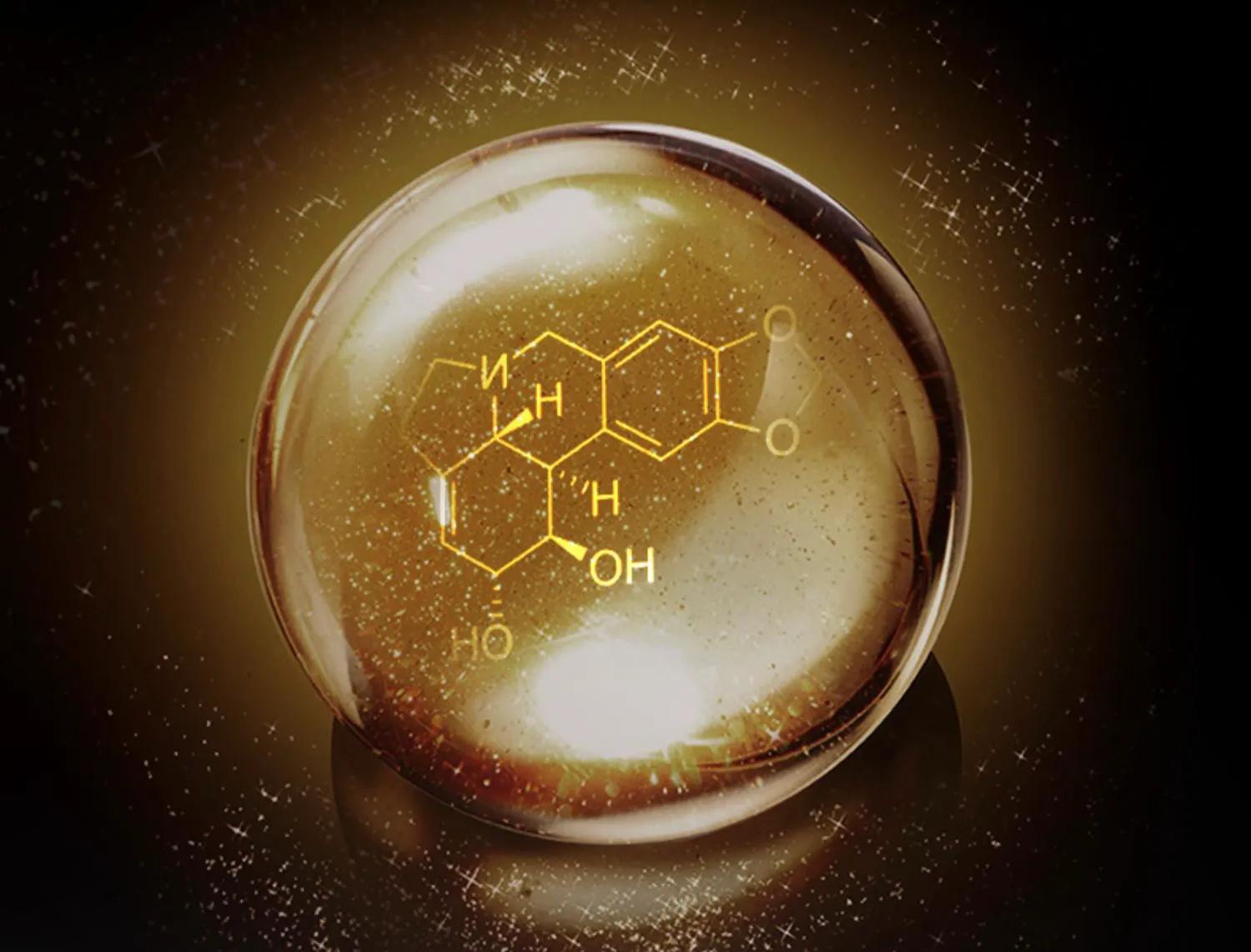 精华水精华液的正确使用方法,精华液的正确使用顺序方法及步骤