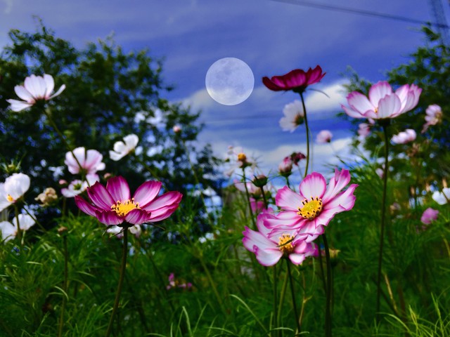 励志正能量句子摘抄大全,励志正能量句子经典短句