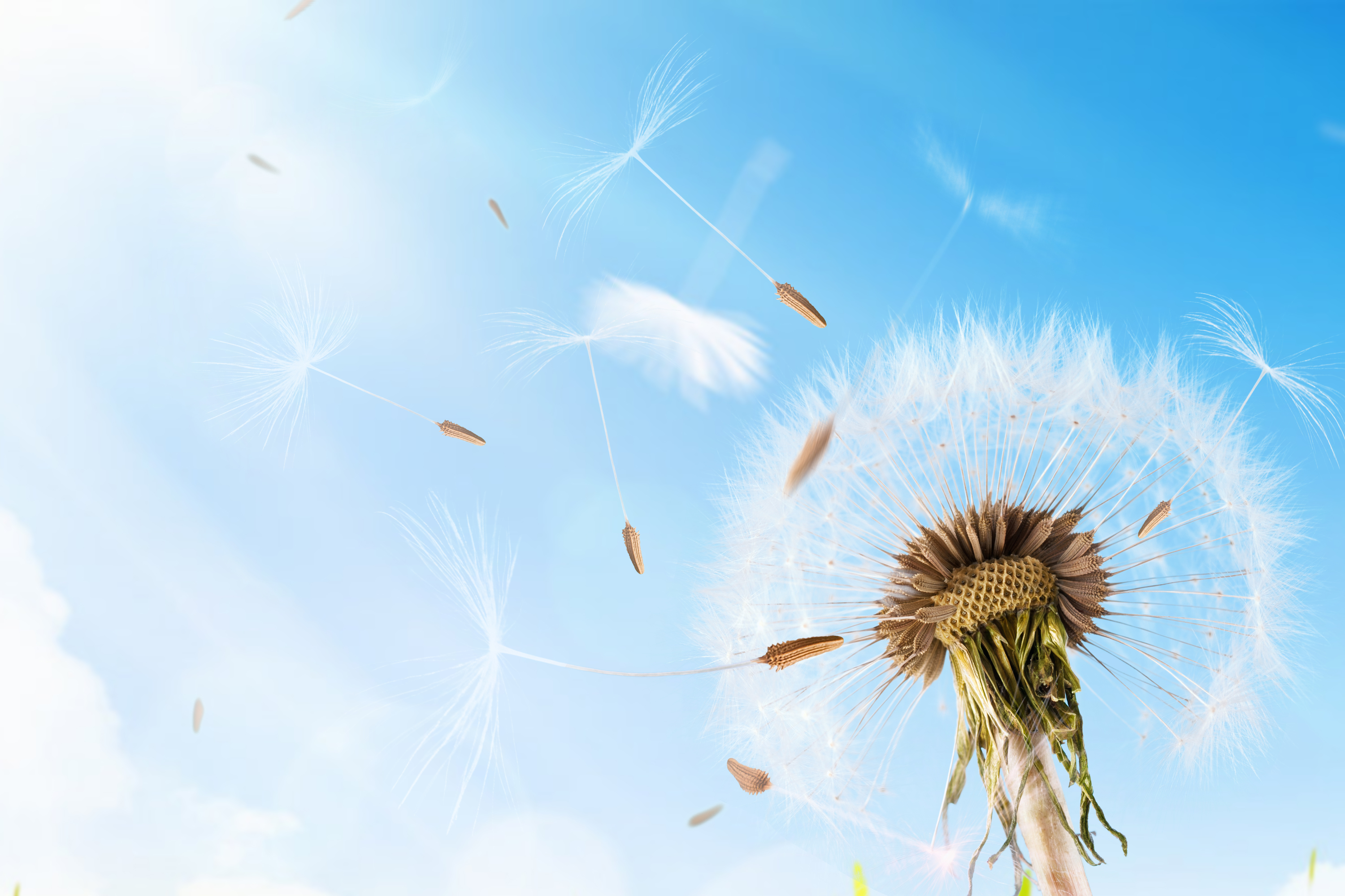 人民日报金句：082少而好学，如日出之阳；壮而好学，如日中之光