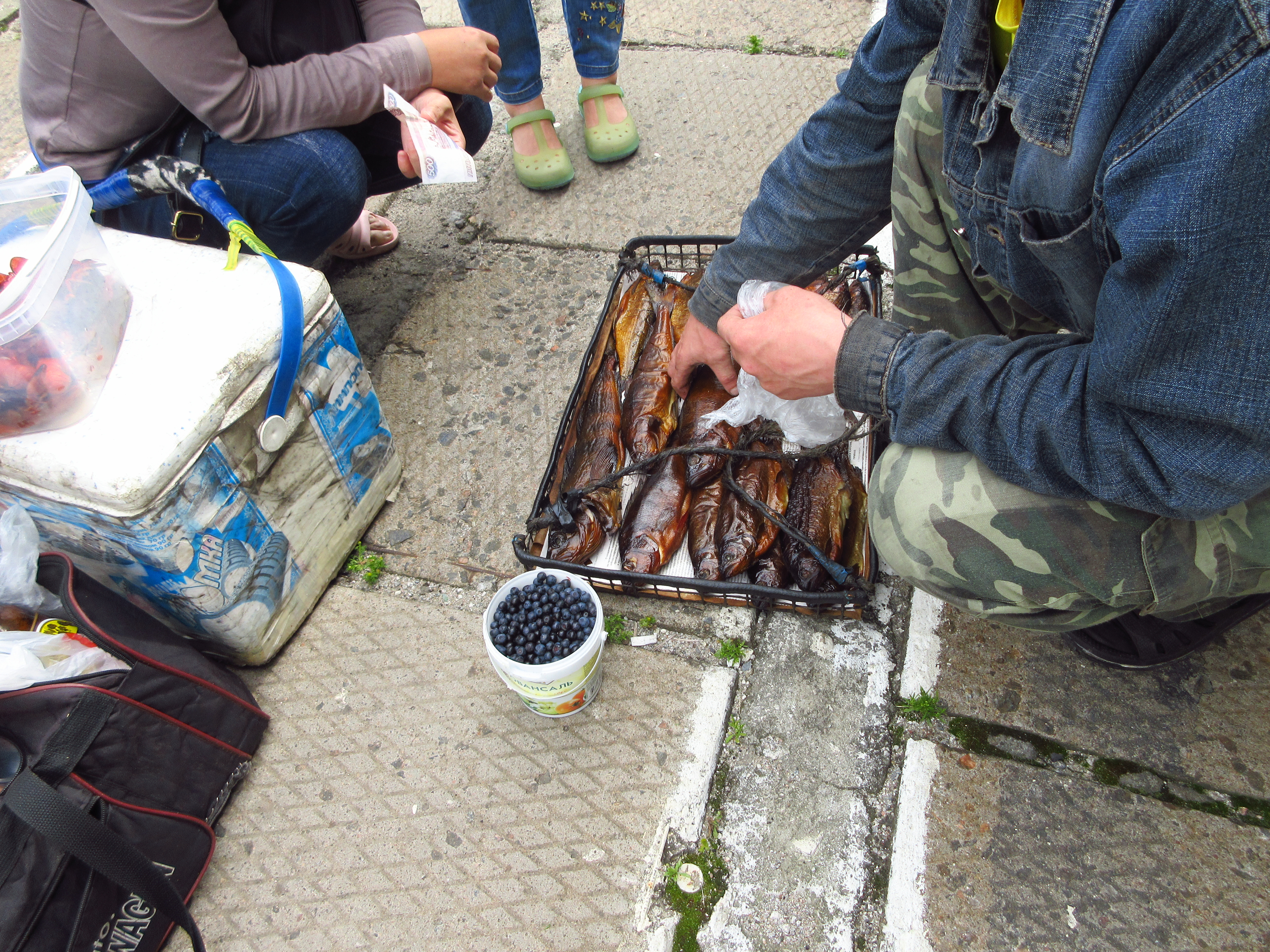 怎么坐火车去莫斯科,去莫斯科坐火车最新攻略