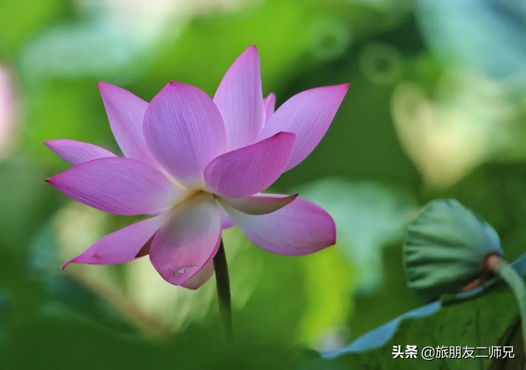 花都红山村自由行攻略,广州花都公园旅游攻略