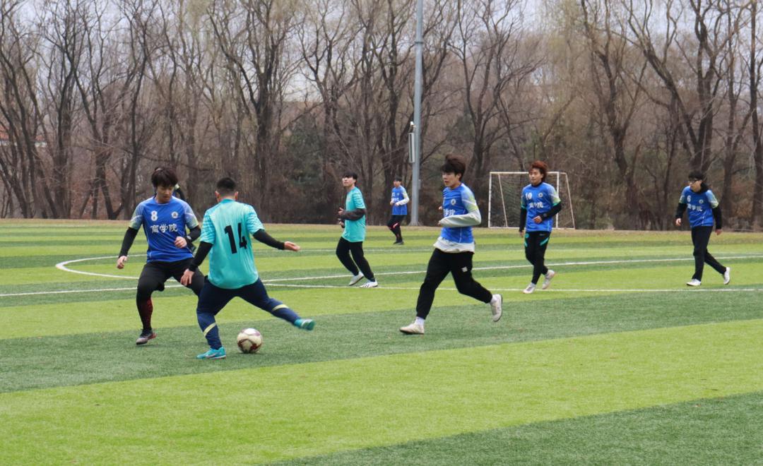 加油世界杯,加油巴西世界杯