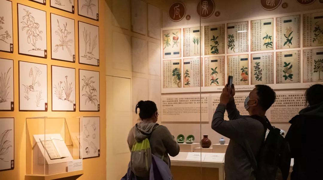 哪里城市过春节最有年味,最有年味的过年是怎么样的