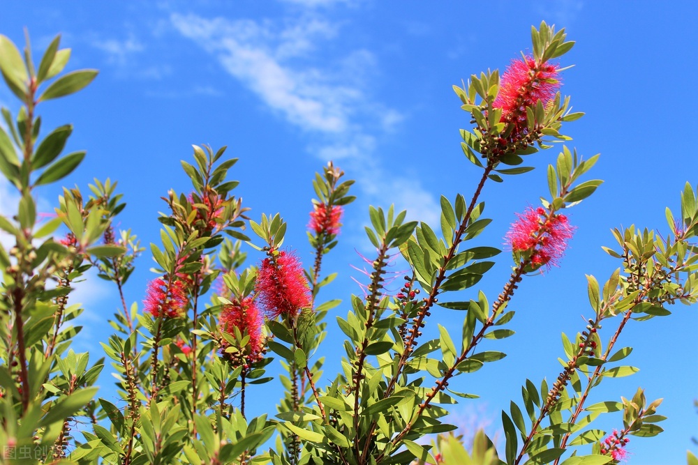 100个让自己变美的习惯,变美的29个习惯