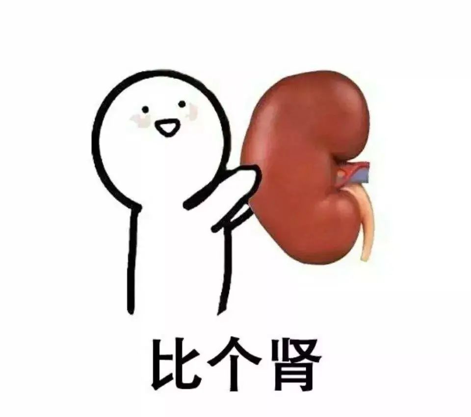 肾结石不疼不代表没有危害，一旦发现要及时就诊！