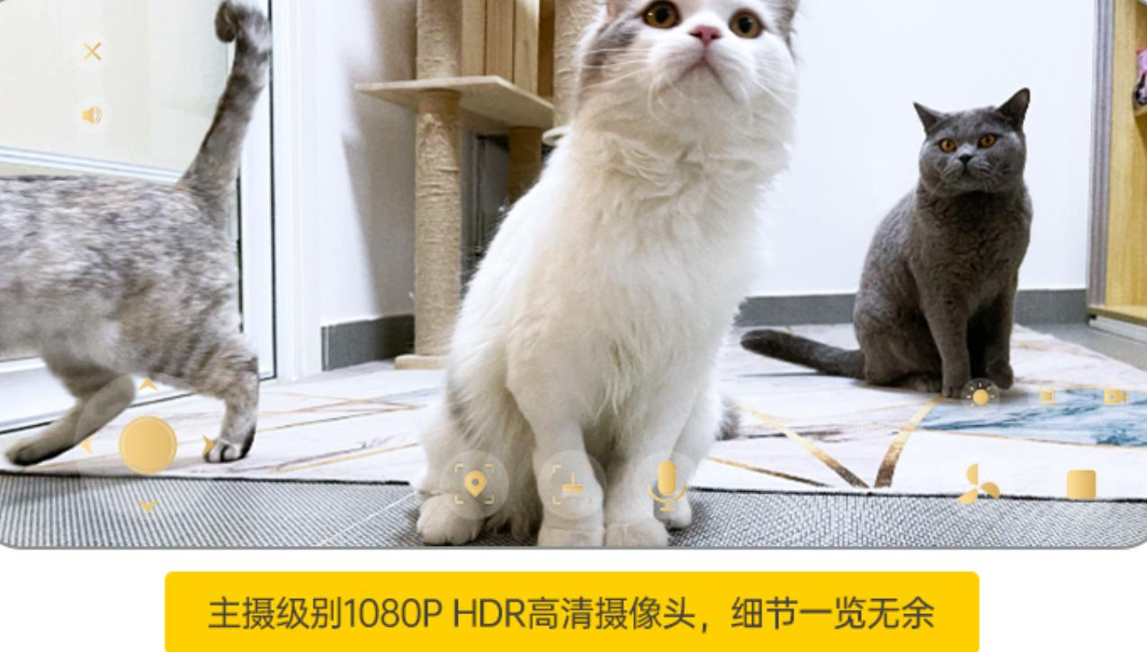 家用小家电清洁好物推荐,清洁家电品牌推荐一览表