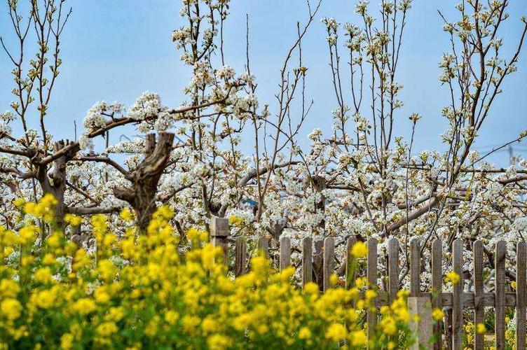 聊城拓展基地,聊城拓展培训师