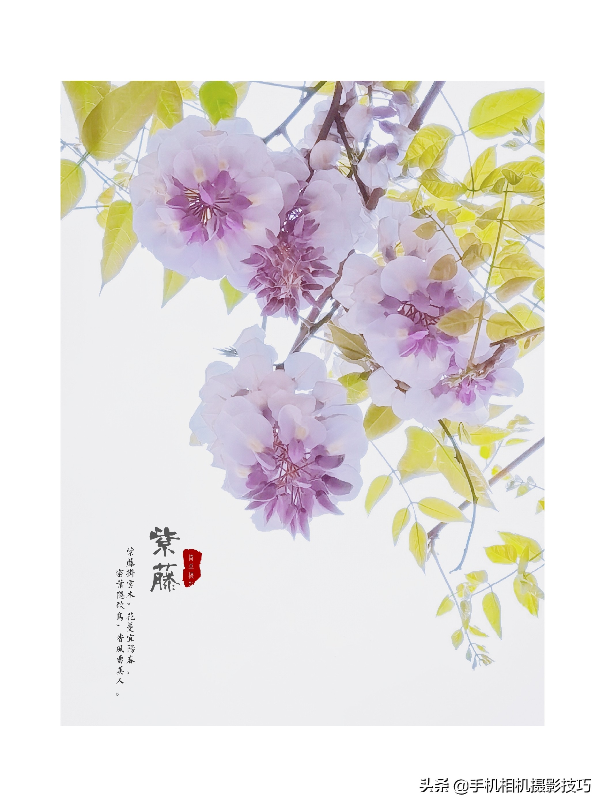 18组普通人拍出来的好照片：把不相关的东西拍到一起，效果很神奇