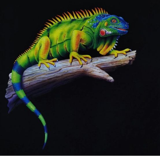 白墨烫画机需要注意问题,如何选一台好用的白墨烫画机