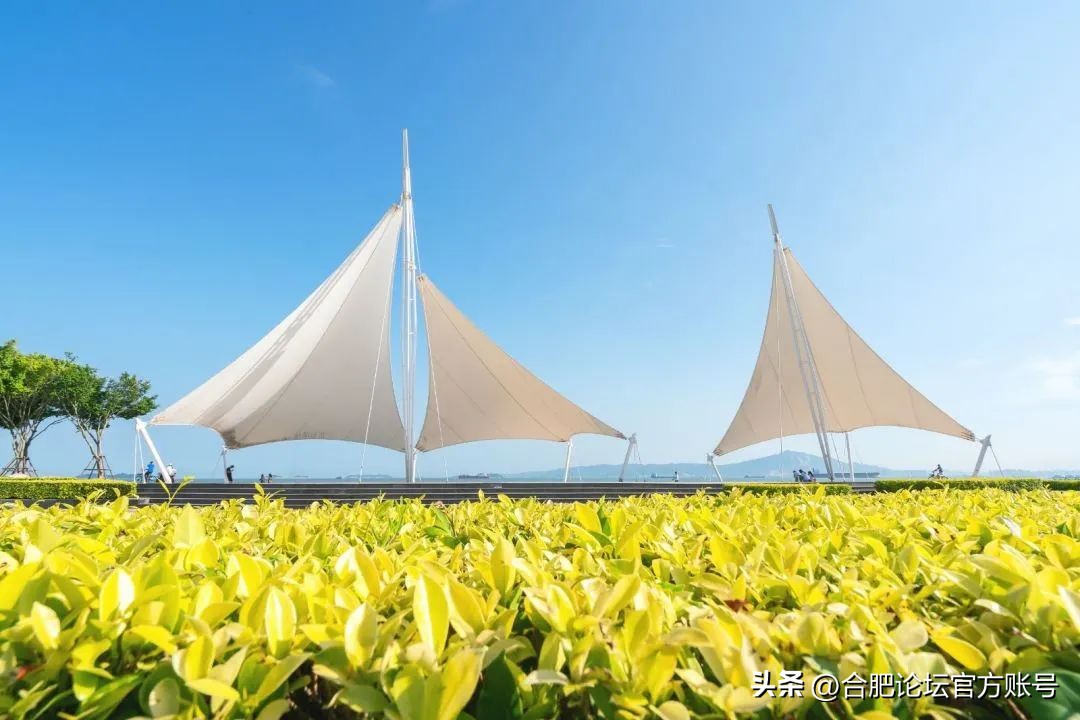 十一月合肥去哪里的机票最便宜,今年11月合肥特价机票