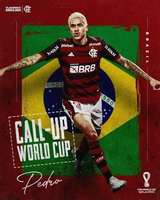 巴西世界杯大名单解析,巴西世界杯吐槽