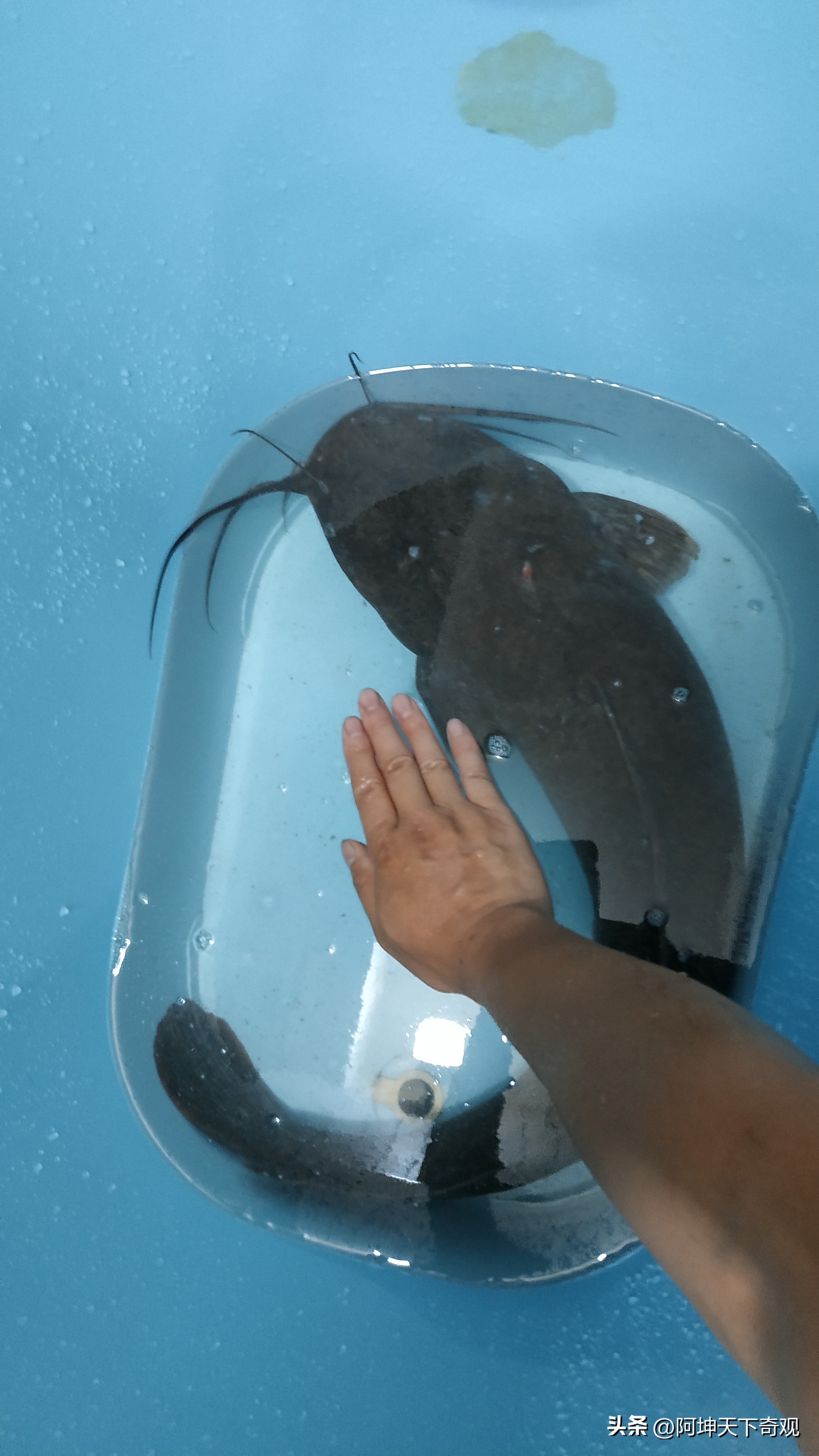 致全市垂钓爱好者,野钓小众的钓鱼地点