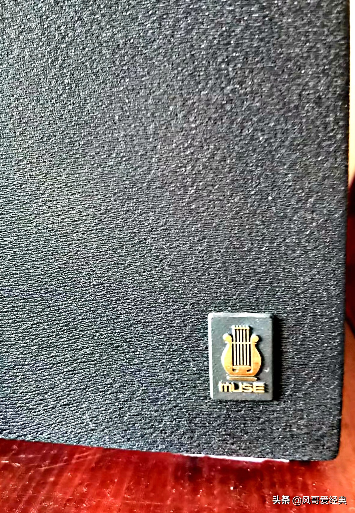 缪斯音箱大全图,缪斯音箱哪款型号好