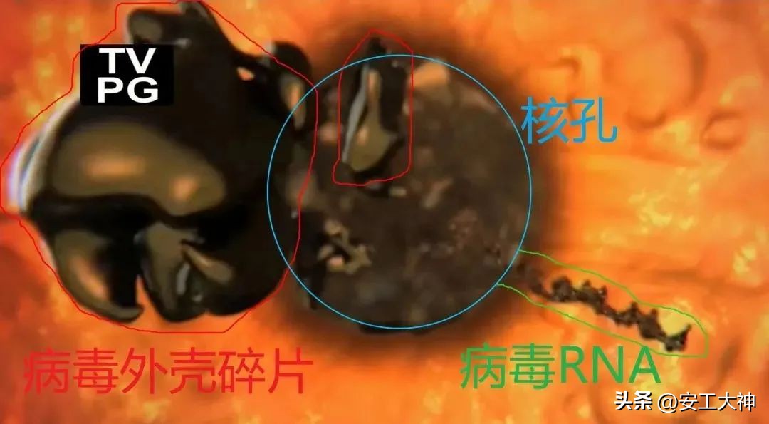 疫情正确的自我保护方式,疫情反弹注意保护好自我